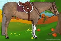 Horse Color:Chocolate Palomino 