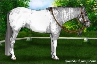 Horse Color:White Spotted Blue Roan Splash Frame Varnish  and Blue Roan Tobiano Frame Snowcap 