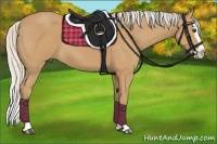 Horse Color:Silver Buckskin Splash 