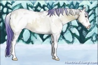 Horse Color:Watercolor White Spotted Bay Onyx Sabino 