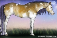 Horse Color:Painted White Spotted Brown Splash 
