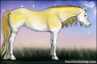Horse Color:Painted Amber Cream Champagne Pearl Onyx Sabino Splash 
