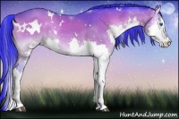 Horse Color:Watercolor White Spotted Brown Onyx Splash