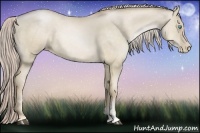 Horse Color:Chocolate Palomino Pearl Dun Sabino