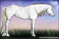 Horse Color:Buckskin Ice Pearl Dun Sabino Splash 