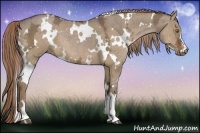 Horse Color:White Spotted Liver Red Dun Ice 