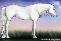 Horse Color:Chocolate Palomino Ice Pearl Sabino Splash 