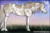 Horse Color:White Spotted Liver Chestnut Ice Splash 