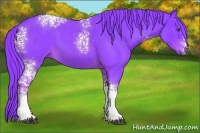 Horse Color:Watercolor White Spotted Liver Red Roan