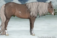 Horse Color:Silver Black Sabino