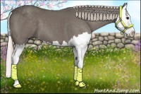 Horse Color:Silver Black Splash