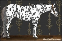 Horse Color:Smoky Black Leopard 