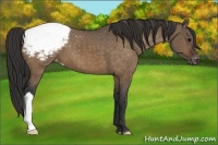 Horse Color:Brown Dun Snowcap Brindle 