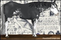 Horse Color:Black Sabino Splash 