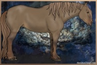 Horse Color:Liver Red Dun 