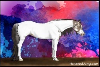 Horse Color:Liver Red Dun Tobiano Frame Appaloosa Brindle 