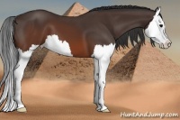 Horse Color:Brown Splash