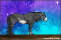 Horse Color:Black Sabino Frame Rabicano