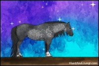 Horse Color:Black Sabino Rabicano 