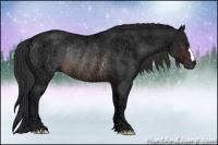 Horse Color:Brown Ice Rabicano