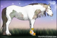 Horse Color:Nacre Plaid Brown Ice Sabino Splash Tobiano Rabicano