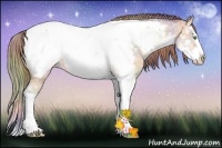 Horse Color:Nacre Amber Cream Champagne Ice Sabino Splash Snowcap Rabicano 