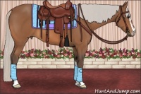 Horse Color:Silver Bay Sabino 