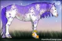 Horse Color:Watercolor White Spotted Brown Ice Sabino Splash Rabicano