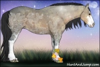 Horse Color:Buckskin Ice Sabino 