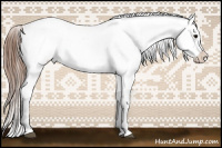 Horse Color:Brown Sabino Appaloosa