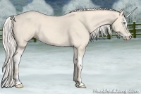Horse Color:Cremello Sabino  and Cremello Sabino 