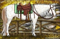 Horse Color:Red Dun Leopard 