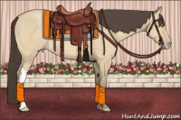 Horse Color:Amber Cream Champagne Dun 
