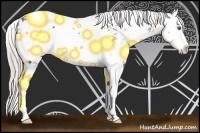 Horse Color:Silver Black Ice Sabino Splash Appaloosa 