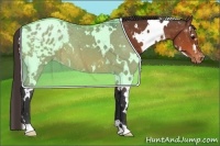 Horse Color:White Spotted Bay Appaloosa