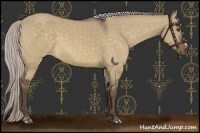Horse Color:Silver Brown Dun 