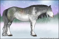 Horse Color:Brown Chinchilla Sabino
