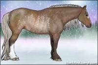 Horse Color:Silver Brown Rabicano 