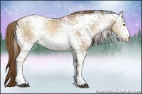 Horse Color:White Spotted Liver Chestnut Ice Pearl