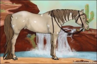 Horse Color:White Spotted Liver Red Dun Pearl Sabino