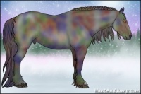 Horse Color:Nacre Black 