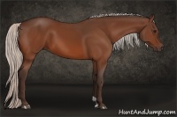 Horse Color:Silver Bay 