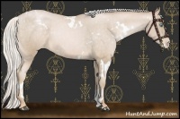 Horse Color:White Spotted Silver Buckskin Snowdrop Varnish 