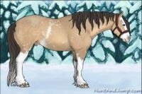 Horse Color:White Spotted Amber Cream Champagne Splash