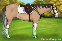 Horse Color:Buckskin Roan Splash 