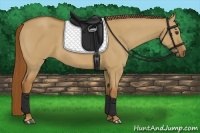 Horse Color:Red Dun 
