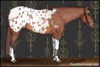 Horse Color:Chocolate Bay Tobiano Blanket 