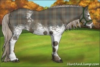 Horse Color:Plaid White Spotted Chocolate Palomino