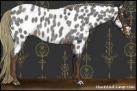 Horse Color:Liver Red Roan Near Leopard 