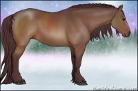 Horse Color:Chocolate Buckskin Rabicano 